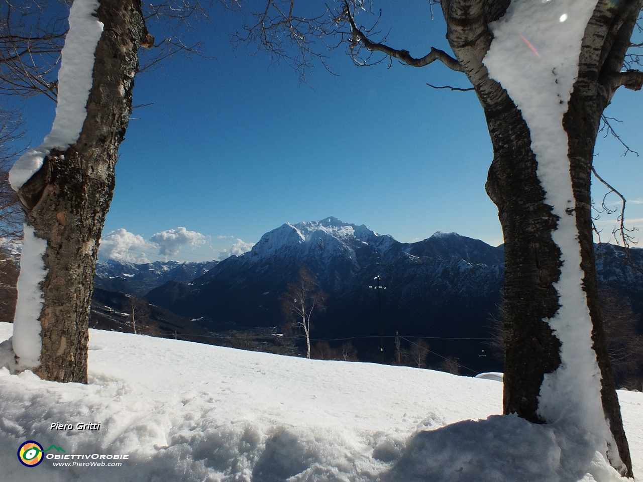 70 la neve resiste appiccicata alla corteccia degli alberi.....JPG